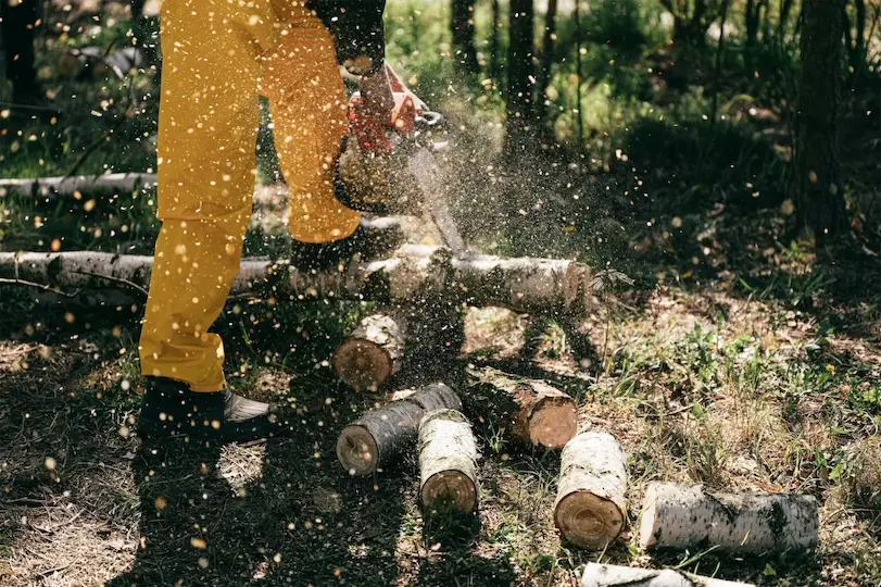 person cutting logs with chain saw